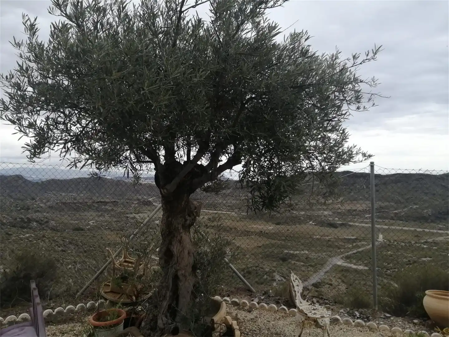 Jardí de Finca rústica en venda en Cuevas del Almanzora amb Jardí privat, Terrassa i Moblat