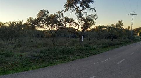 Country house for sale in Lugar Tres Arroyos, Carretera de Sevilla - Los Montitos, Badajoz - image 2 Photo 2 of Country house for sale in Lugar Tres Arroyos, Carretera de Sevilla - Los Montitos, Badajoz