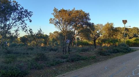 Country house for sale in Lugar Tres Arroyos, Carretera de Sevilla - Los Montitos, Badajoz - image 3 Photo 3 of Country house for sale in Lugar Tres Arroyos, Carretera de Sevilla - Los Montitos, Badajoz