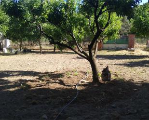 Garden of Land for sale in Navaluenga