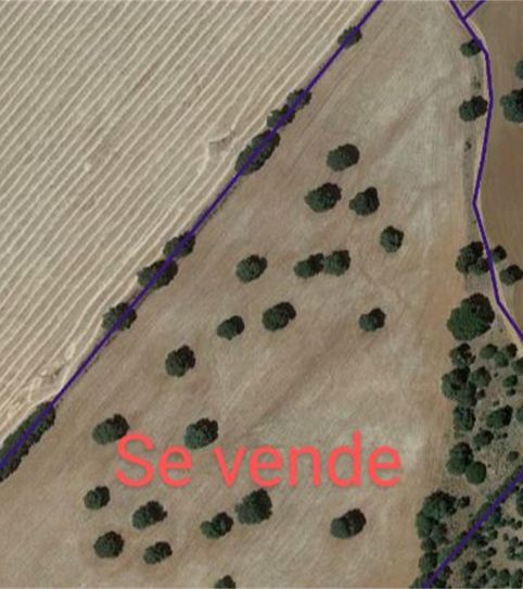 Foto 2 von Grundstücke zum Verkauf in A-25, Povedilla, Albacete