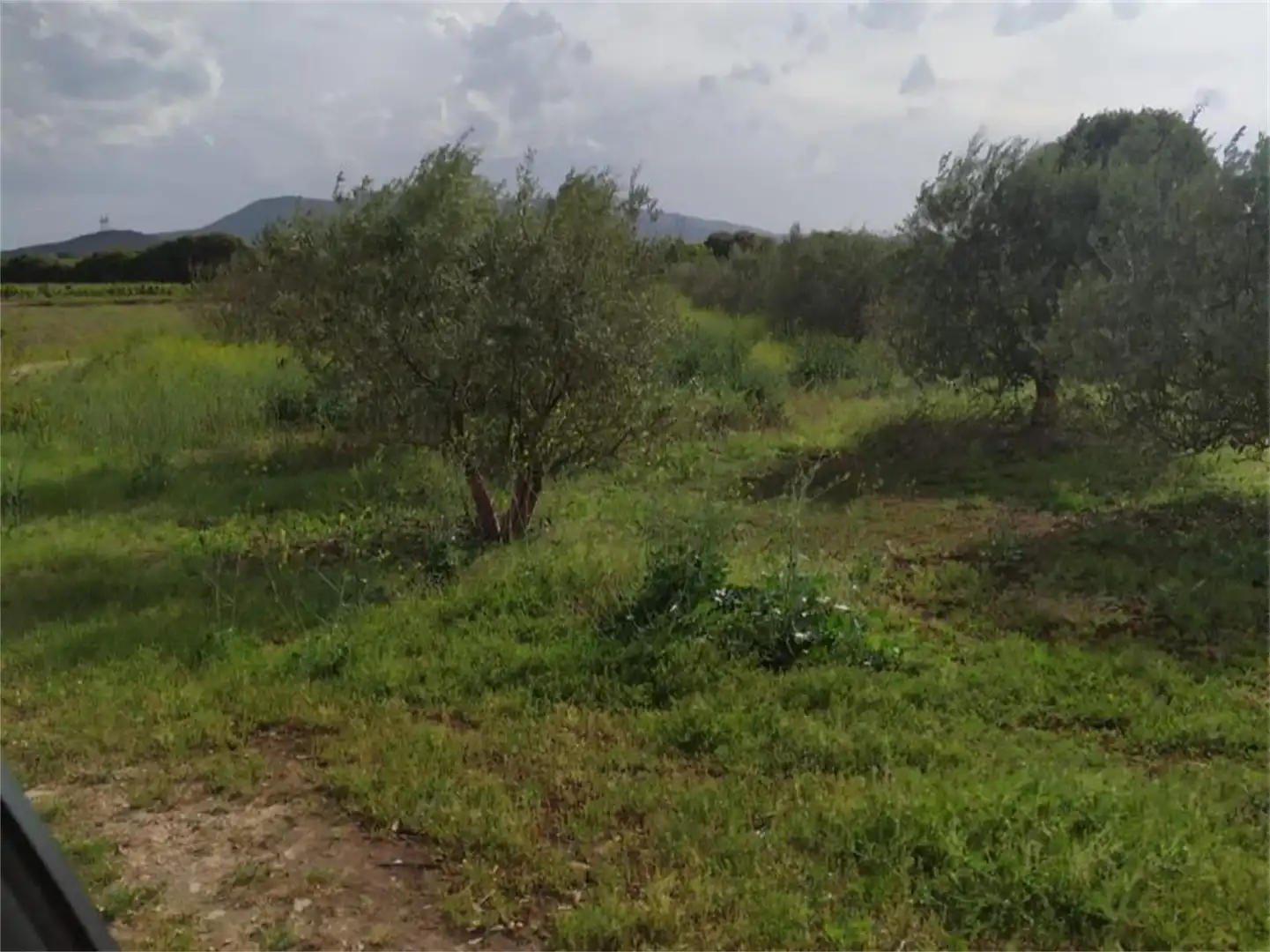 Non-constructible Land for sale in Entrena