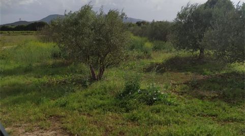 Foto 2 de No Urbanizable en venta en Avenida Santa Ana, Entrena, La Rioja