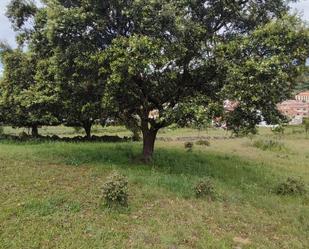 Finca rústica en venda en Pepino