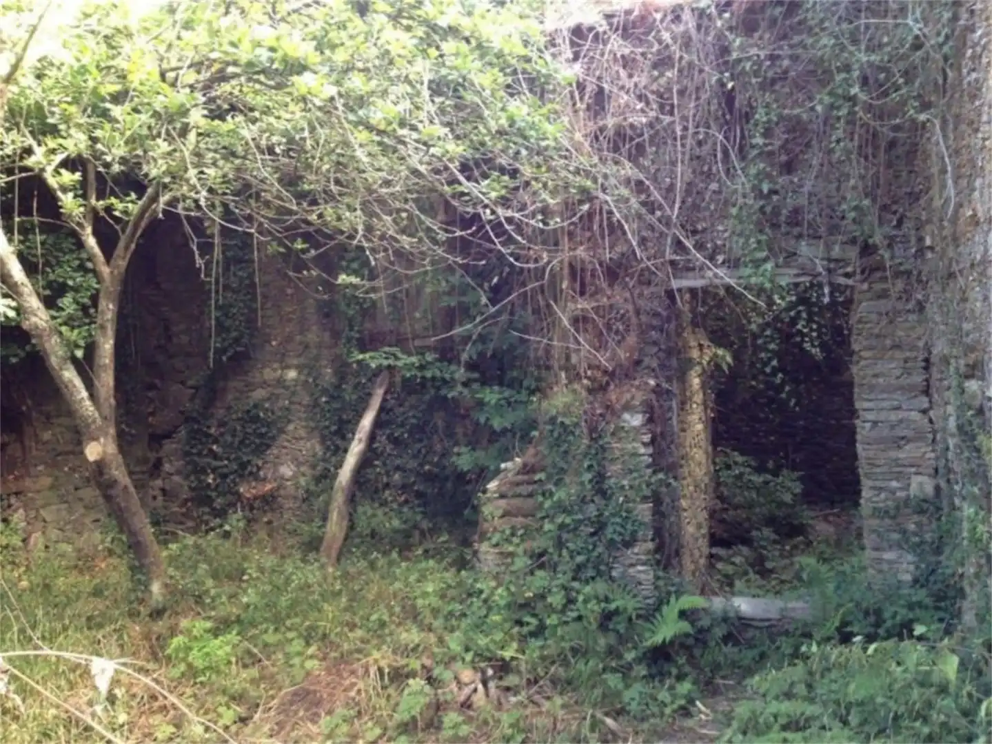 Ground floor for sale in Lourenzá