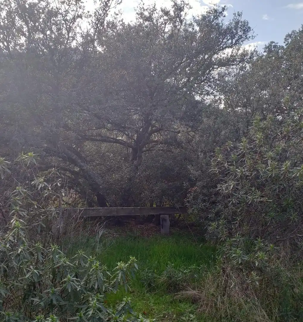 Finca rústica en venda a Hornachos Finca rústica en venda en Hornachos amb Terrassa i Balcó
