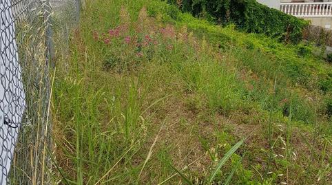 Finca rústica en venda a Carrer del Puig de Bassegoda, 60, Brises de Calafell, Tarragona - imatge 4 Foto 4 de Finca rústica en venda a Carrer del Puig de Bassegoda, 60, Brises de Calafell, Tarragona