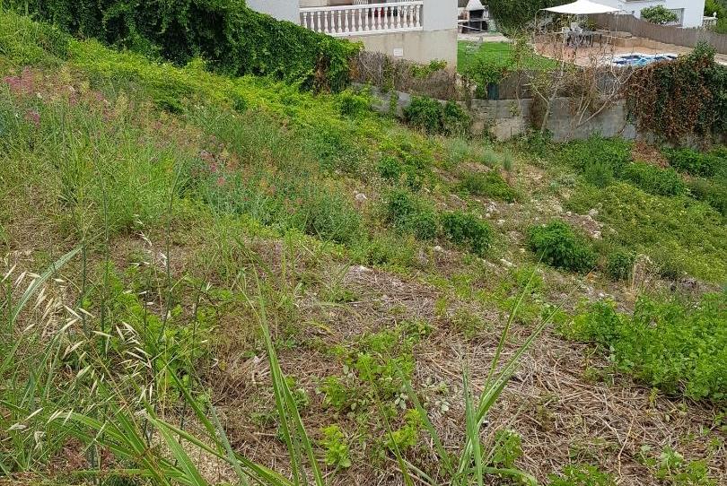 Finca rústica en venda a Carrer del Puig de Bassegoda, 60, Brises de Calafell, Tarragona - imatge 1 Foto 1 de Finca rústica en venda a Carrer del Puig de Bassegoda, 60, Brises de Calafell, Tarragona