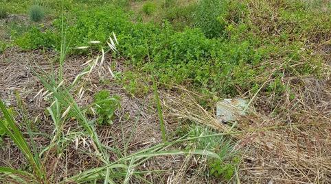 Finca rústica en venda a Carrer del Puig de Bassegoda, 60, Brises de Calafell, Tarragona - imatge 5 Foto 5 de Finca rústica en venda a Carrer del Puig de Bassegoda, 60, Brises de Calafell, Tarragona