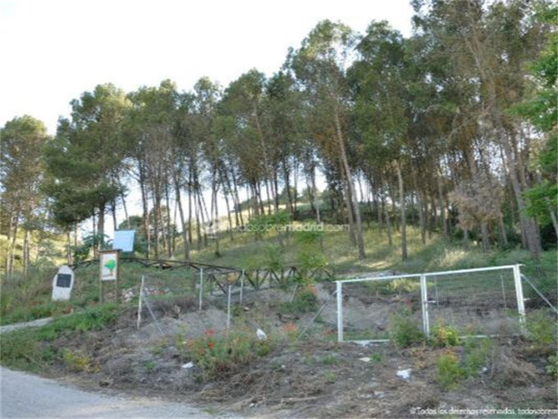 Land for sale in Villar del Olmo