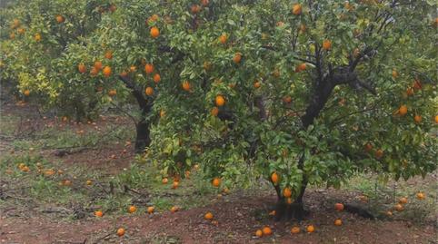 Photo 4 of Flat for sale in Camino de Rogeral, Vallada, Valencia