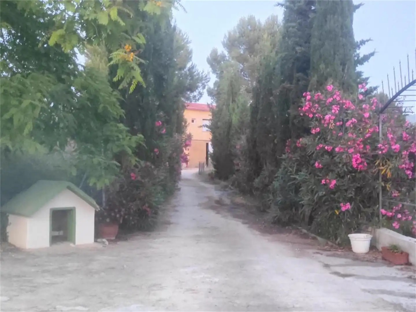 Vista exterior de Piso en venta en Vallada con Calefacción, Jardín privado y Terraza