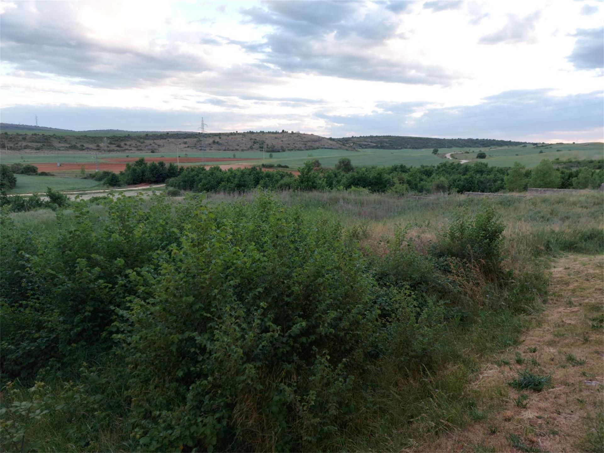 Constructible Land for sale in Mambrillas de Lara