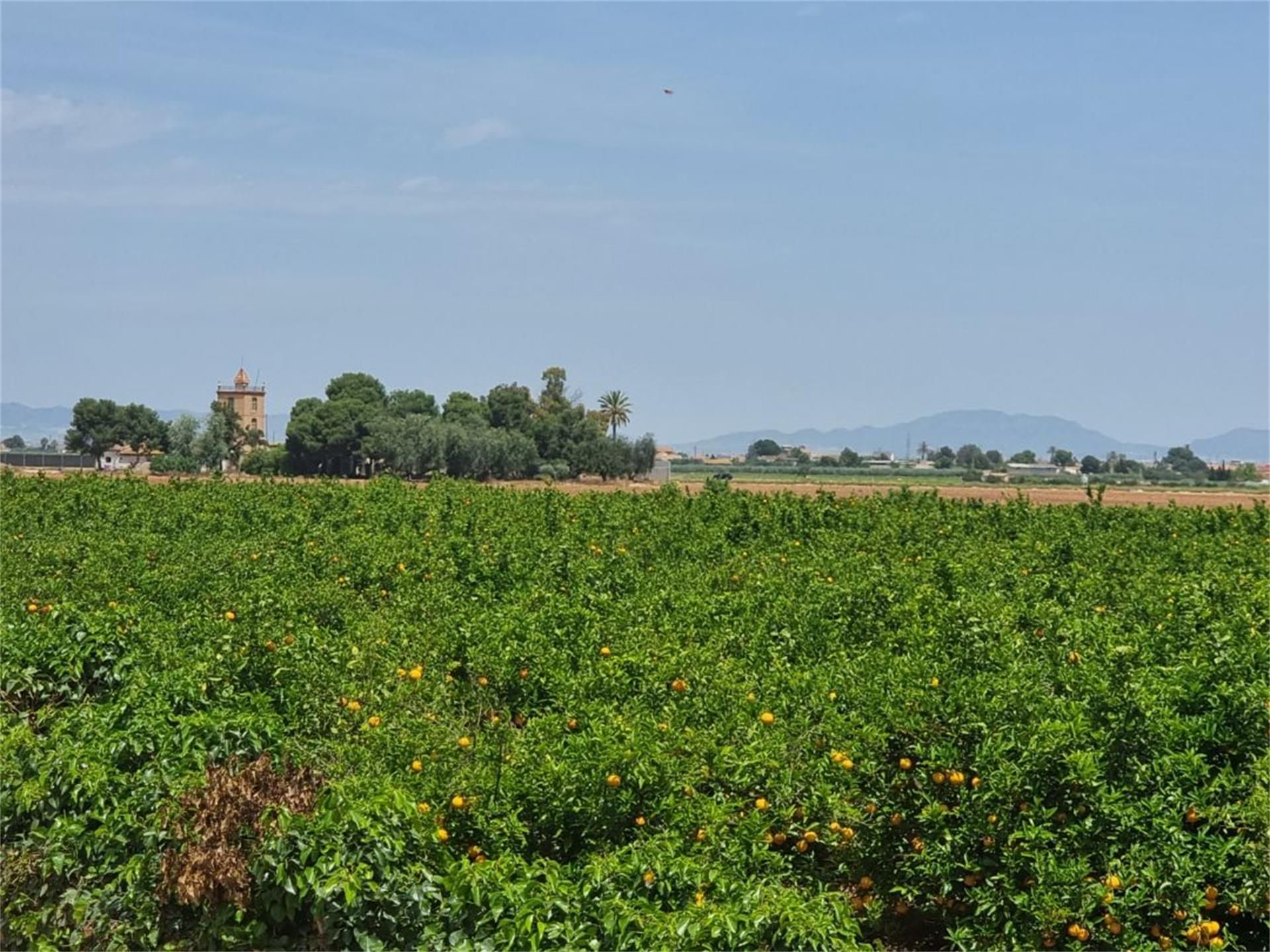 Land for sale in Cartagena