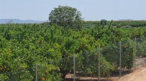 Photo 5 of Land for sale in La Aljorra, Murcia