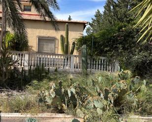 Jardí de Finca rústica en venda en Purchena amb Terrassa i Piscina