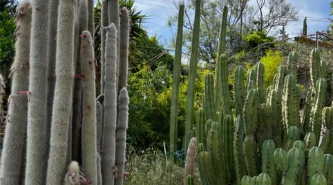 Finca rústica en venta en Calle Estación, Purchena, Almería - imagen 2 Foto 2 de Finca rústica en venta en Calle Estación, Purchena, Almería