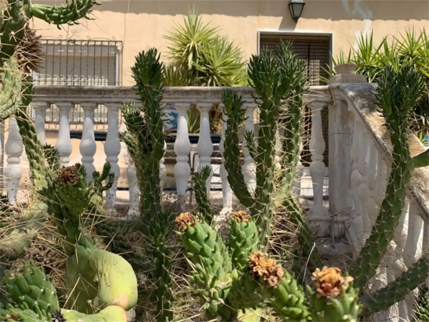 Finca rústica en venda a Calle Estación, Purchena Jardí de Finca rústica en venda en Purchena amb Terrassa i Piscina