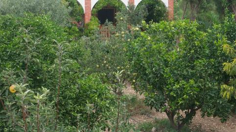 Photo 5 of Country house for sale in Carretera Palomaret, Agost, Alicante