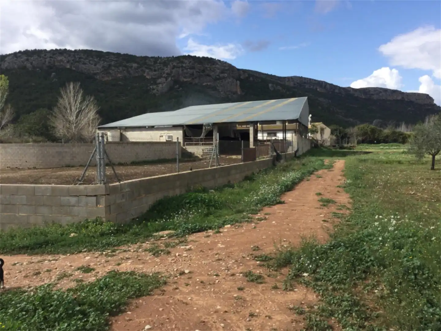 Finca rústica en venta en Calle Maestro Amblar, Chulilla Vista exterior de Finca rústica en venta en Chulilla