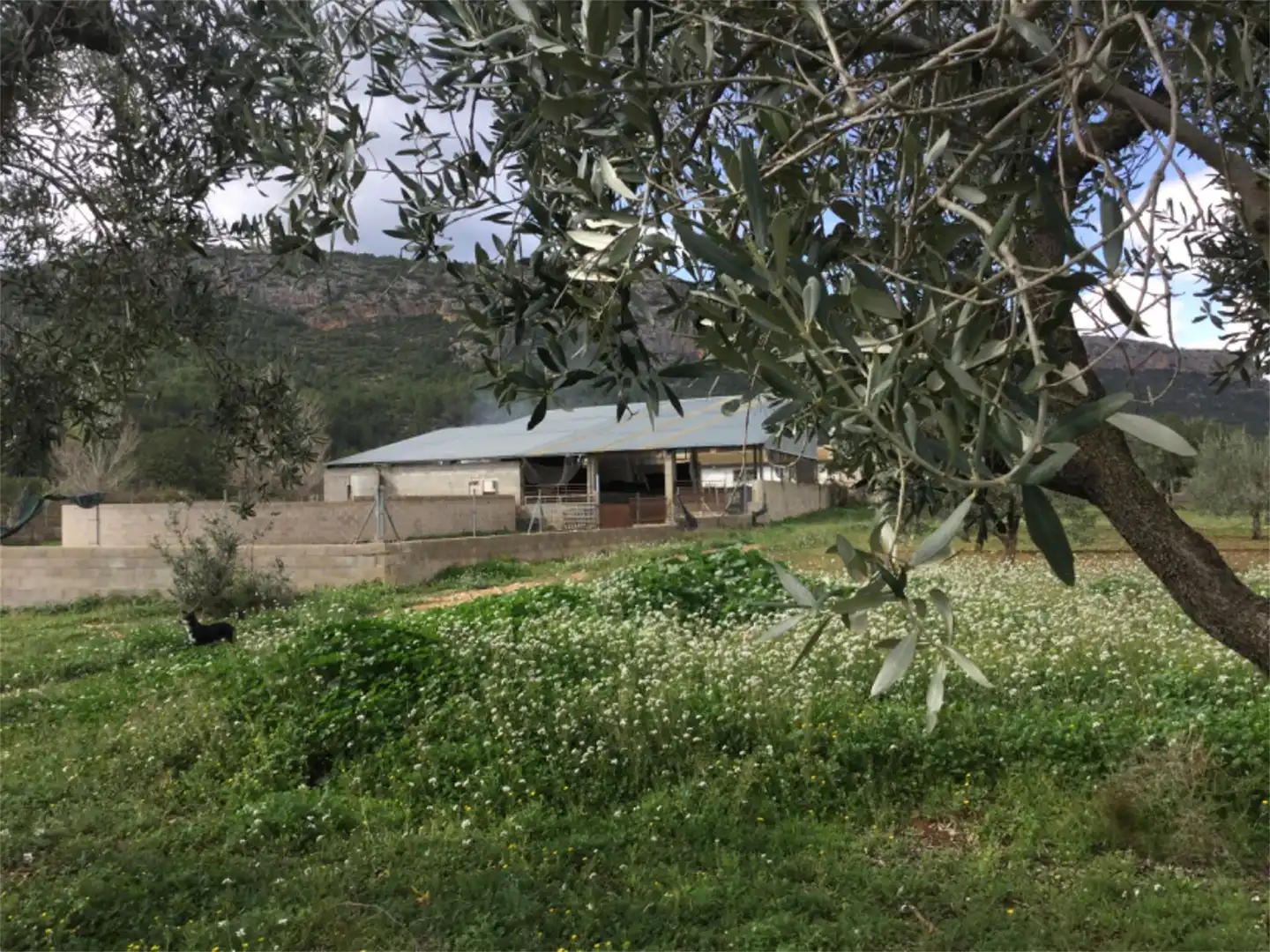 Finca rústica en venta en Calle Maestro Amblar, Chulilla Vista exterior de Finca rústica en venta en Chulilla