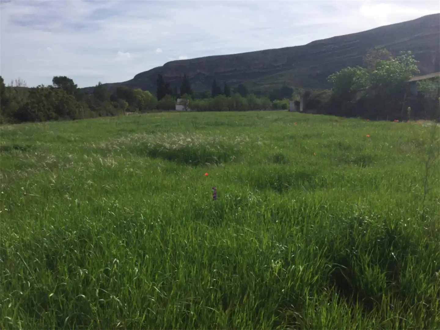 Finca rústica en venta en Calle Maestro Amblar, Chulilla Finca rústica en venta en Chulilla