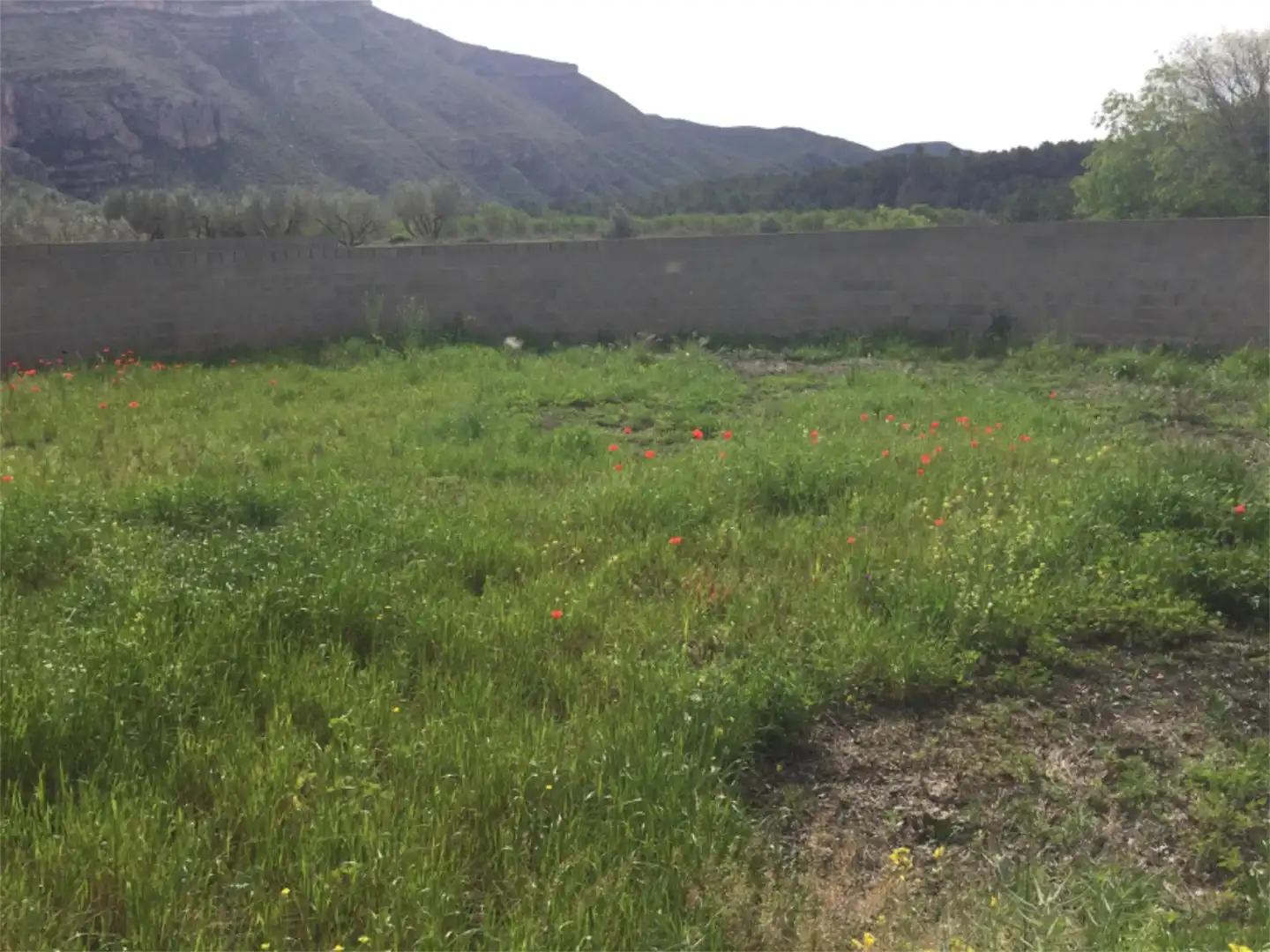 Finca rústica en venta en Calle Maestro Amblar, Chulilla Finca rústica en venta en Chulilla