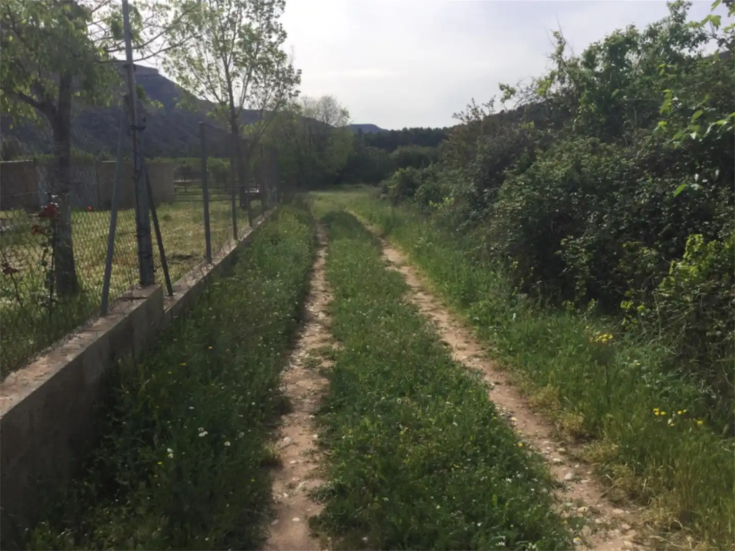 Finca rústica en venta en Calle Maestro Amblar, Chulilla Finca rústica en venta en Chulilla