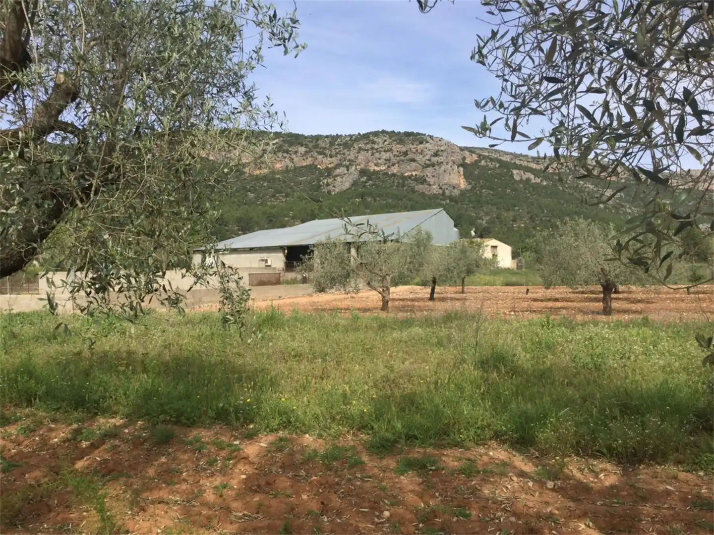 Finca rústica en venta en Calle Maestro Amblar, Chulilla Finca rústica en venta en Chulilla