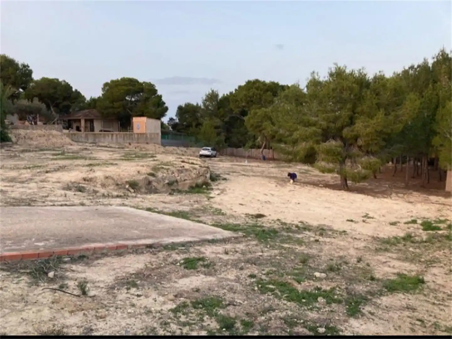 Urbanizable en venta en Cañadas de San Pedro Urbanizable en venta en Murcia