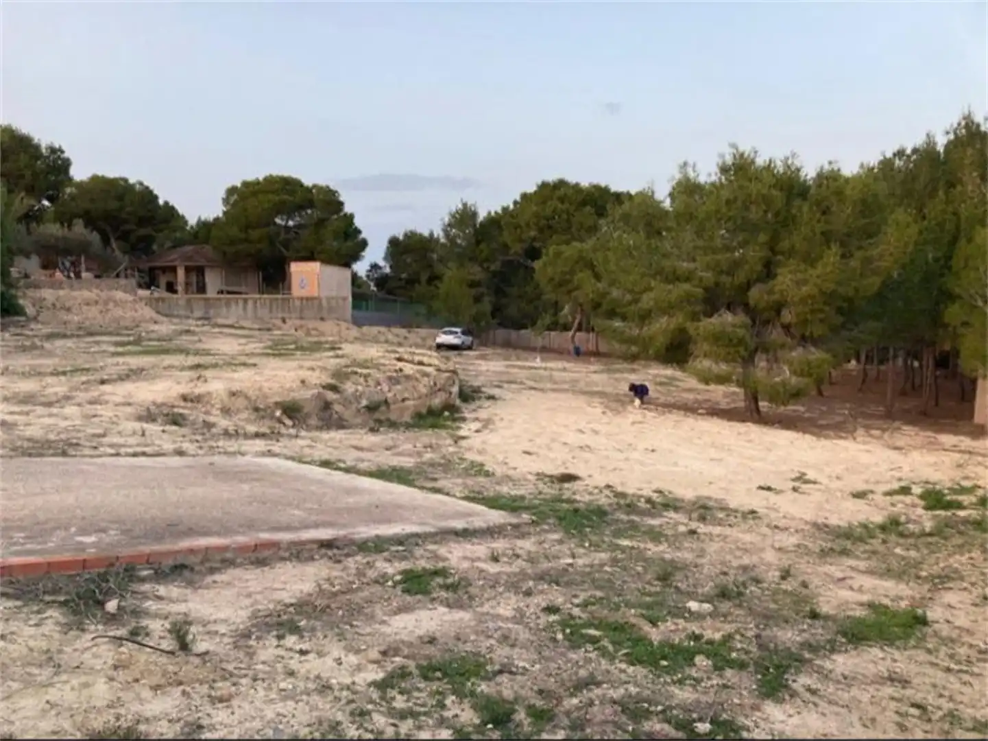 Urbanizable en venta en Cañadas de San Pedro Urbanizable en venta en Murcia