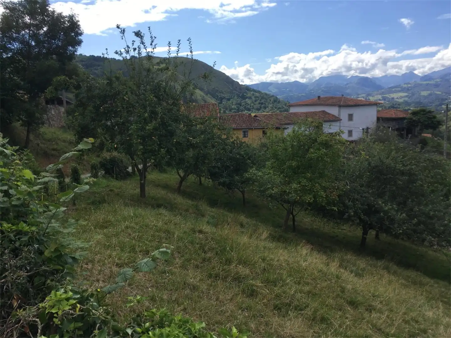 Vista exterior de Urbanitzable en venda en Piloña