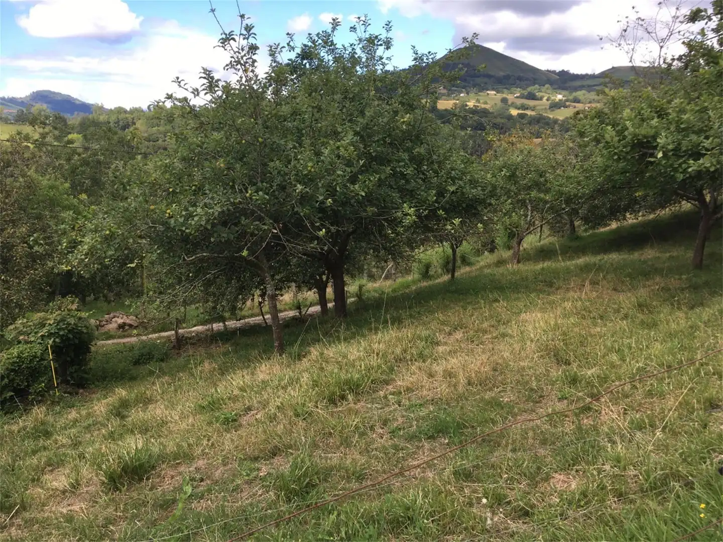 Urbanitzable en venda en Piloña