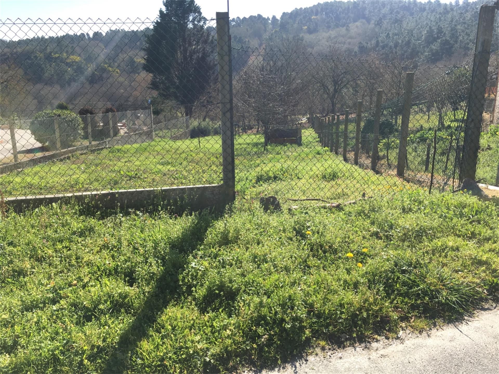 Land for sale in Punxín