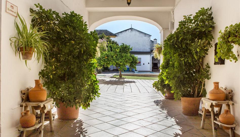 Finca rústica en venda a Calle Puente Genil, Navas del Sepillar, Córdoba - imatge 1 Foto 1 de Finca rústica en venda a Calle Puente Genil, Navas del Sepillar, Córdoba