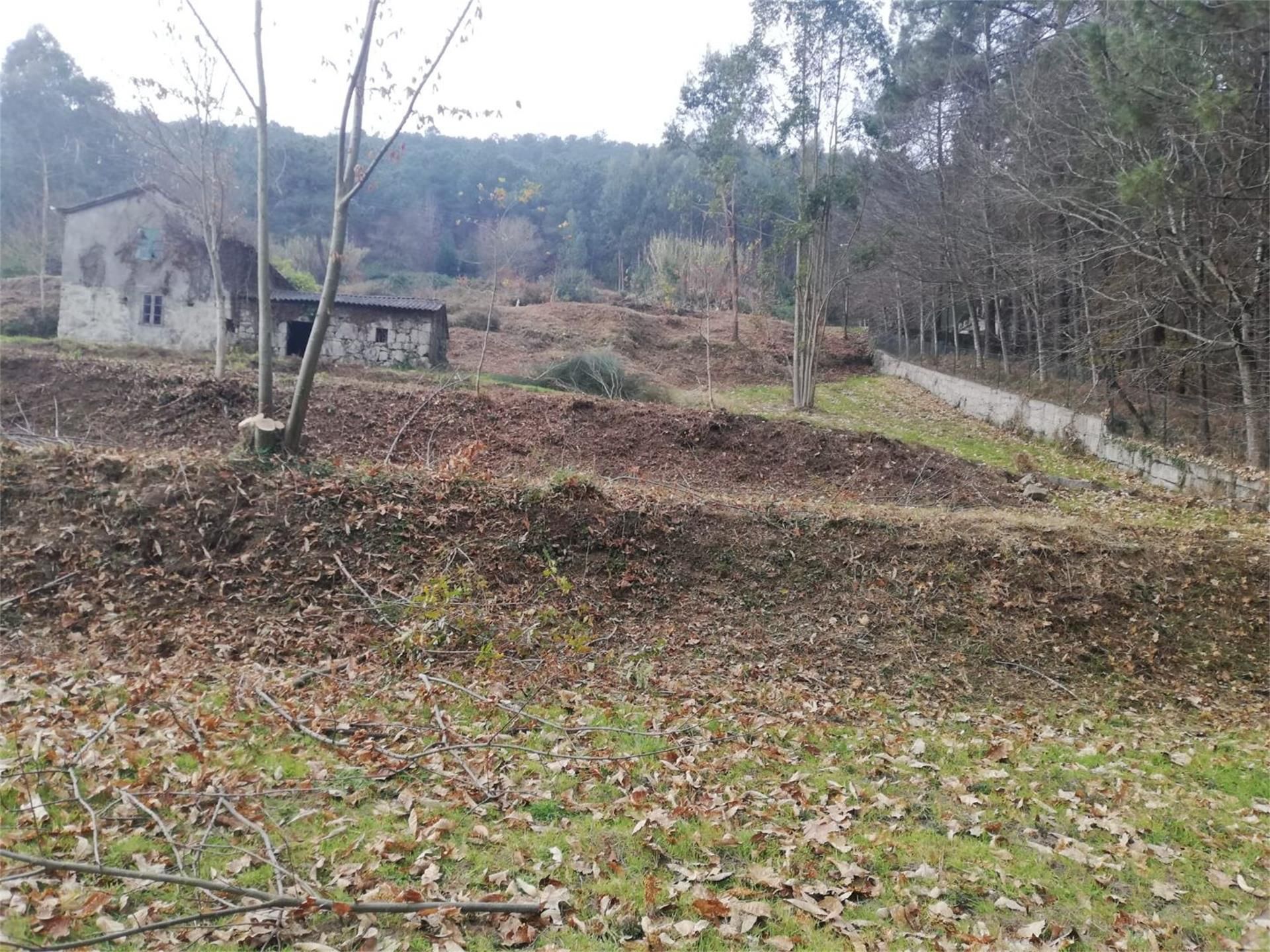 Constructible Land for sale in Tomiño