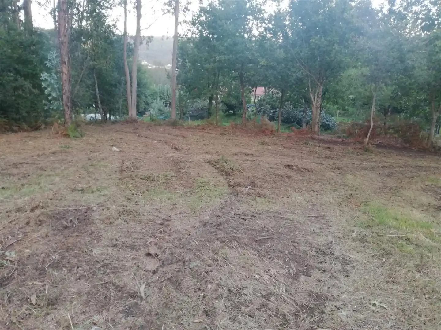 Constructible Land for sale in Tomiño