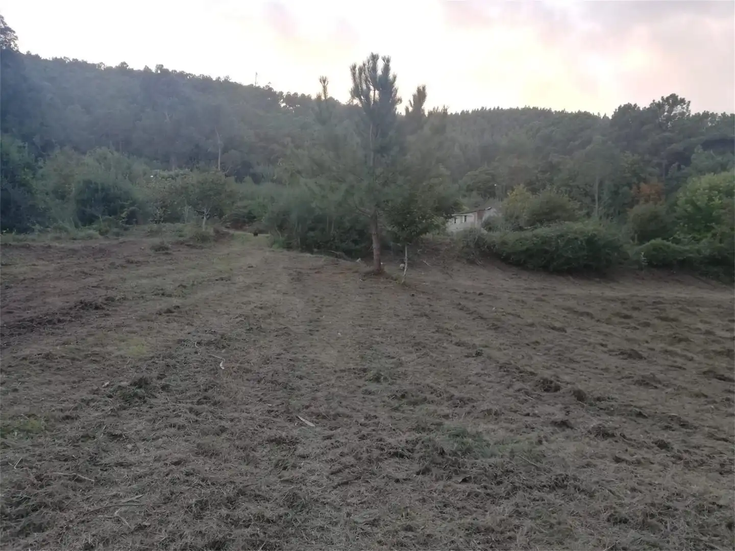 Constructible Land for sale in Tomiño