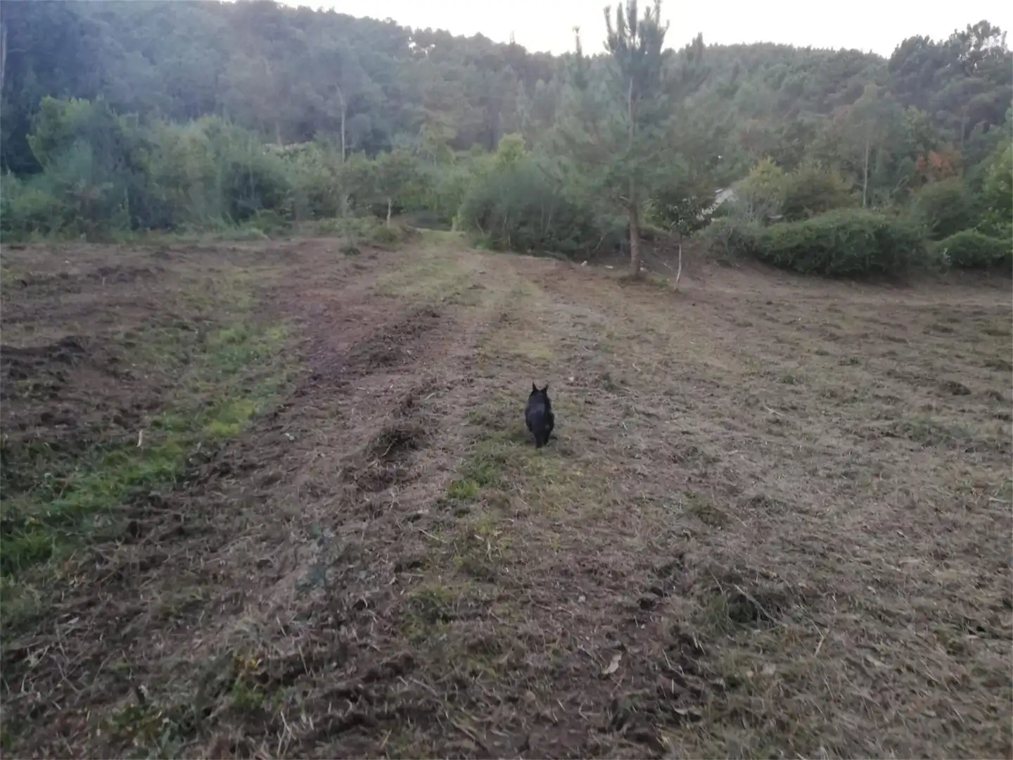 Constructible Land for sale in Tomiño