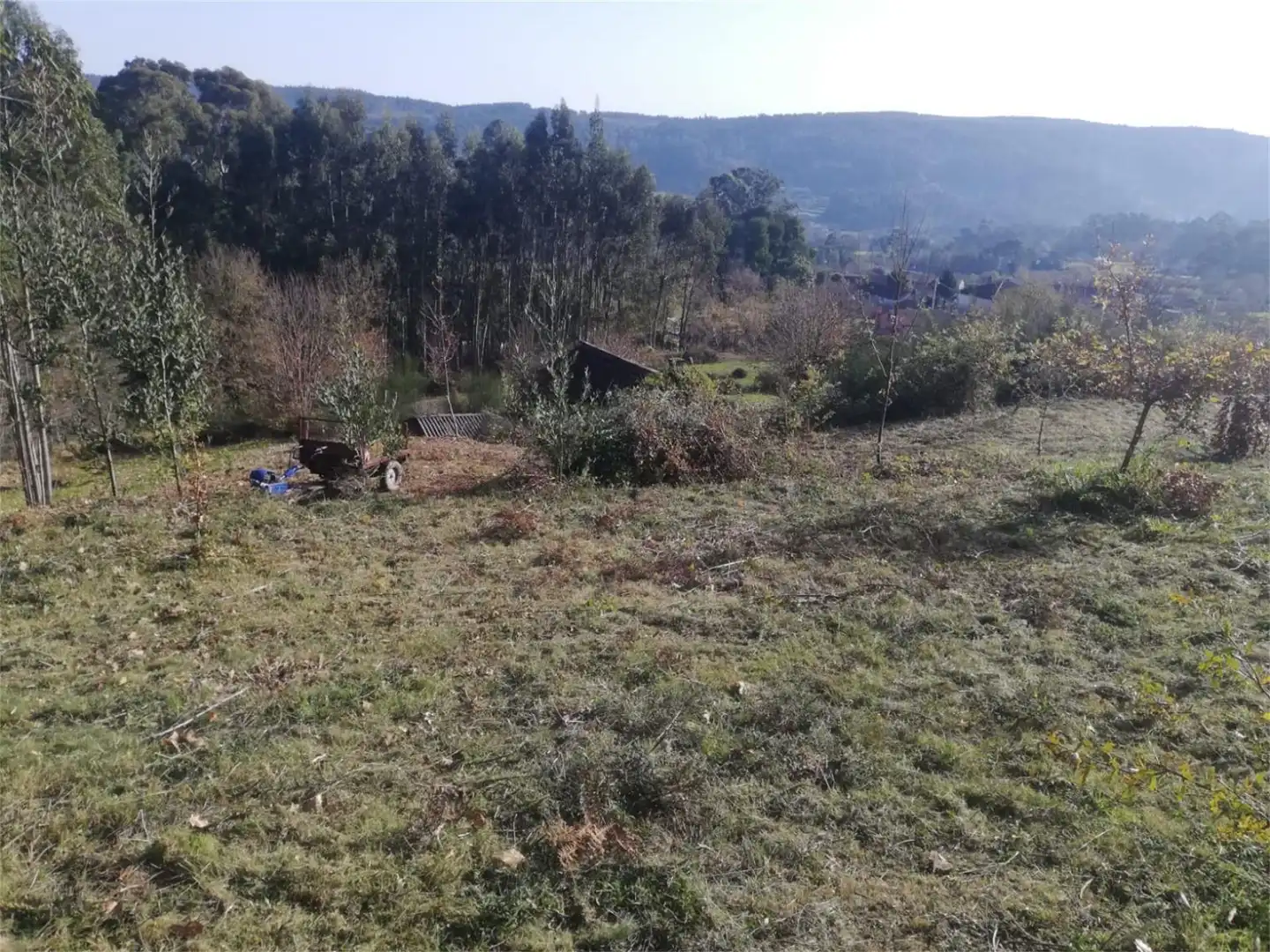 Constructible Land for sale in Tomiño