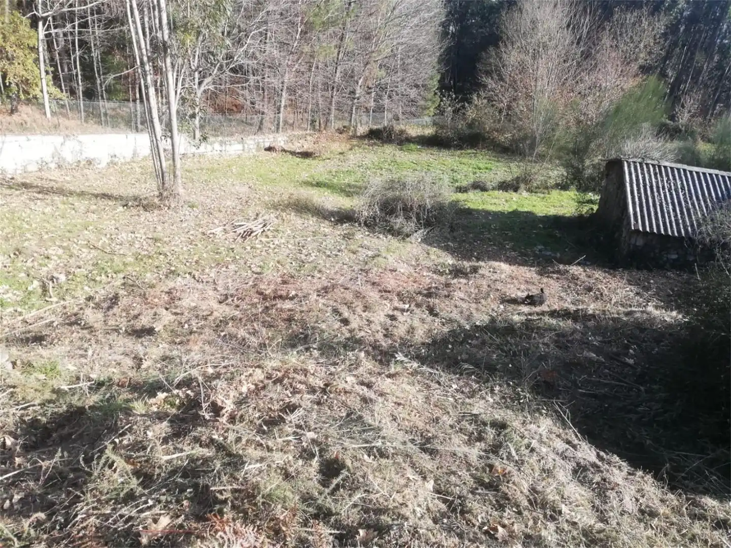 Constructible Land for sale in Tomiño