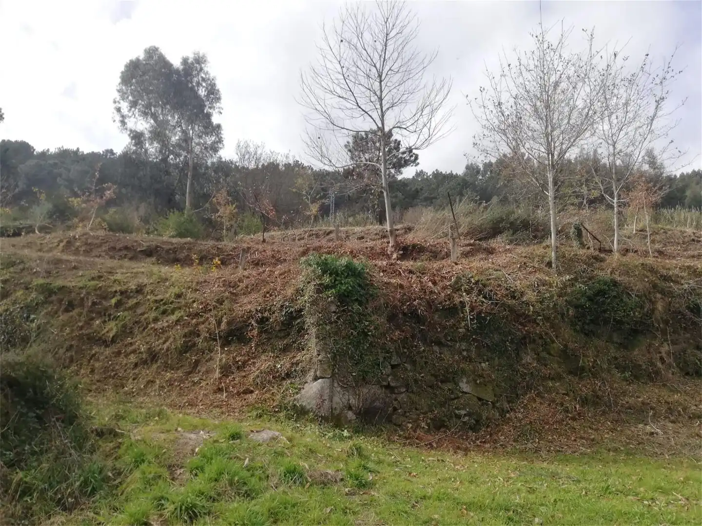 Constructible Land for sale in Tomiño