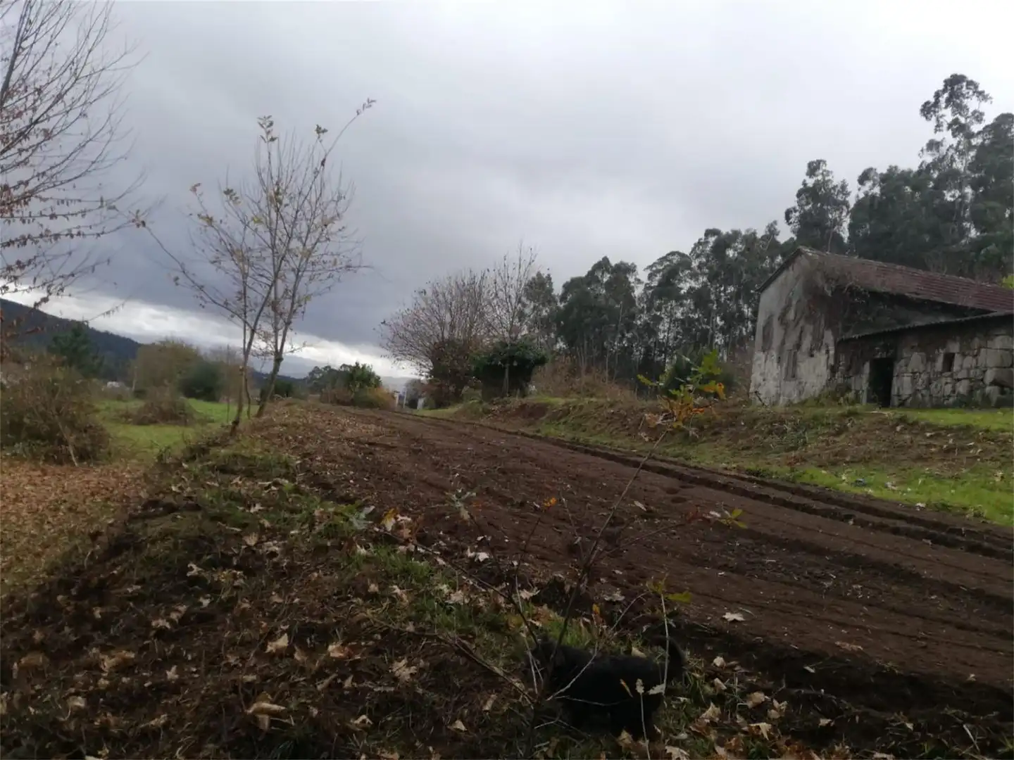 Constructible Land for sale in Tomiño