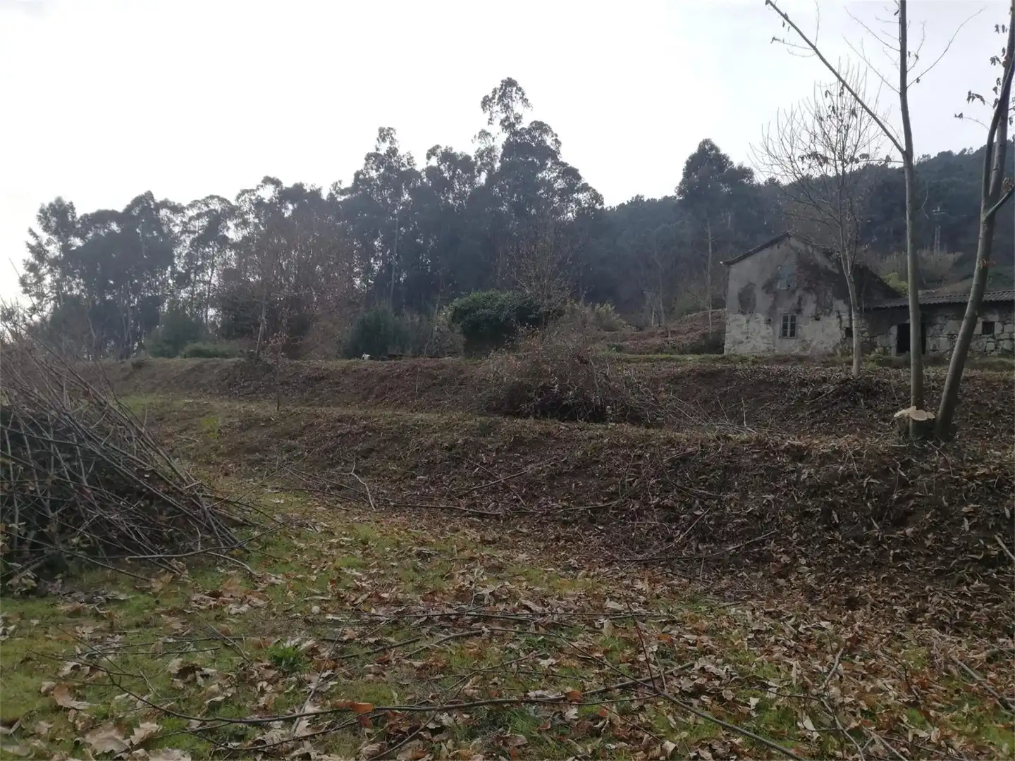 Constructible Land for sale in Tomiño