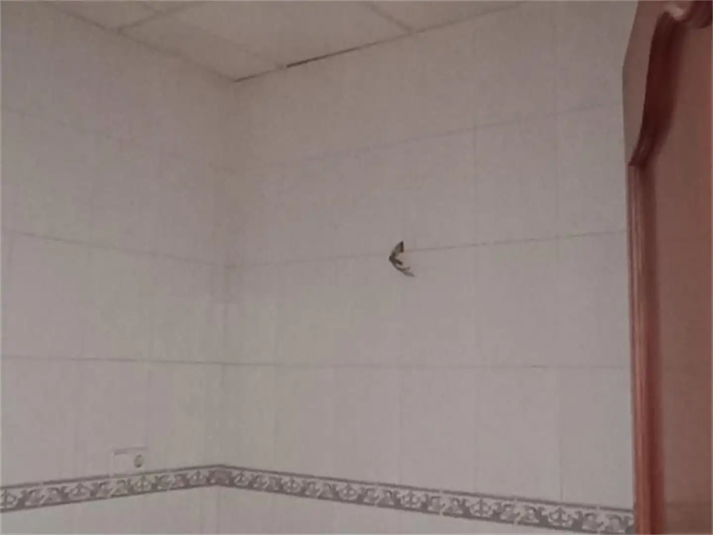 Baño de Planta baja en venta en Mengíbar con Aire acondicionado