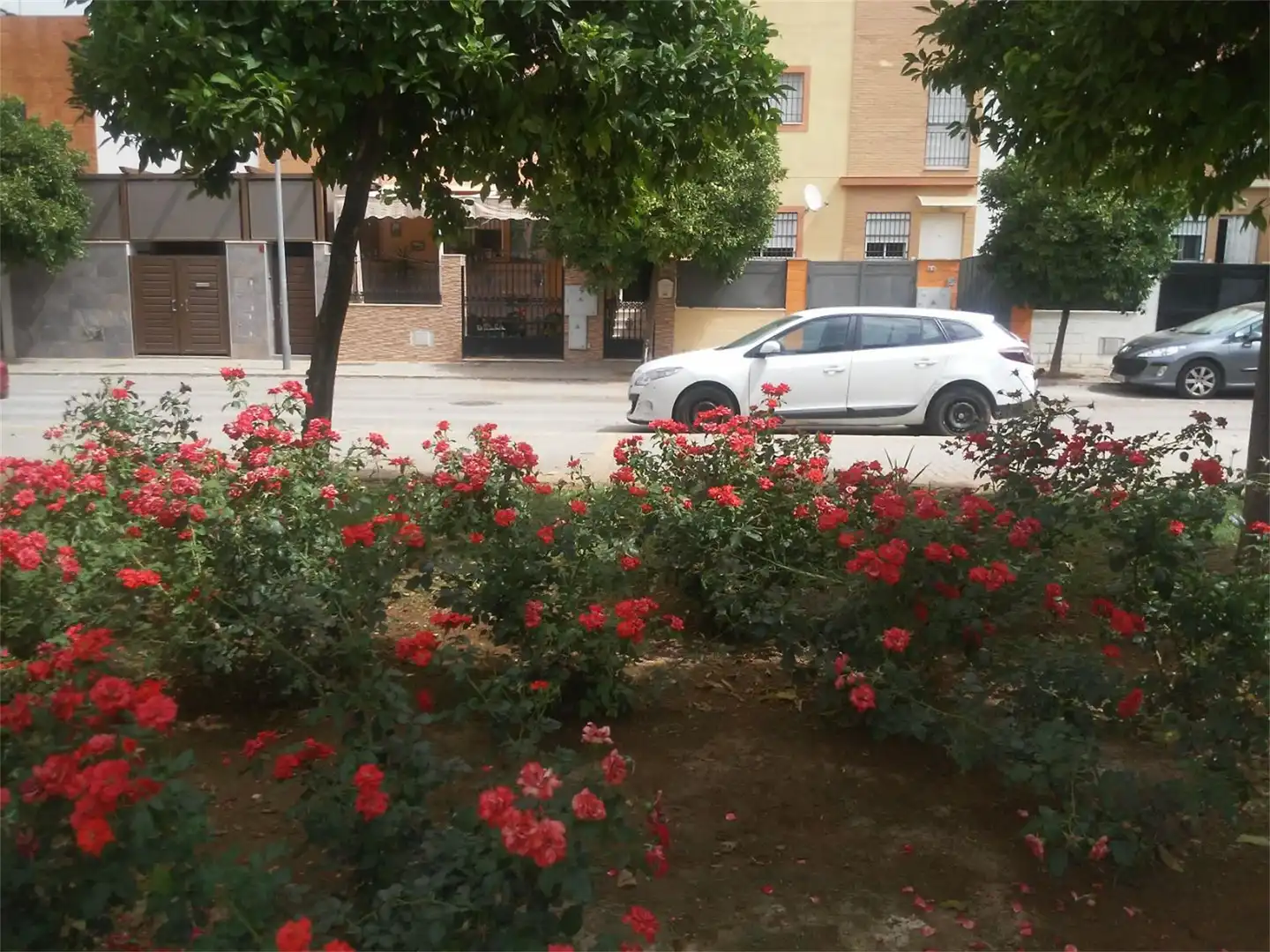 Exterior view of Houses for sale in Sevilla  with Air Conditioner, Heating and Private garden