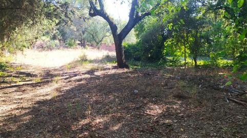 Constructible Land for sale in Carretera de Trassierra, 2, Tablero Bajo - Arruzafilla, Córdoba - image 2 Photo 2 of Constructible Land for sale in Carretera de Trassierra, 2, Tablero Bajo - Arruzafilla, Córdoba