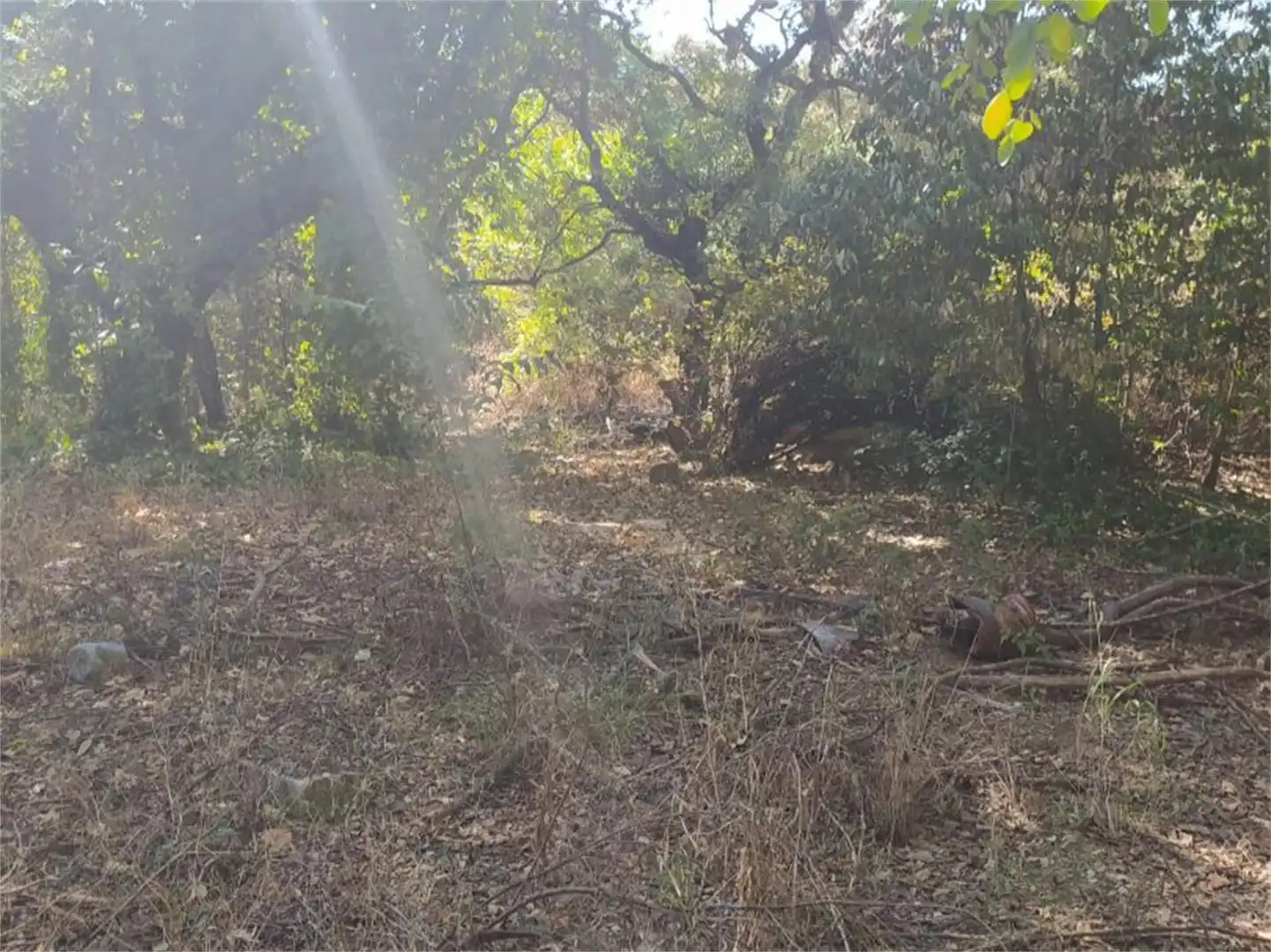 Urbanizable en venta en Carretera de Trassierra, 2, Tablero Bajo - Arruzafilla Urbanizable en venta en Córdoba