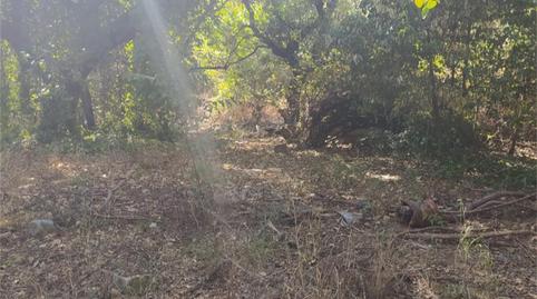 Constructible Land for sale in Carretera de Trassierra, 2, Tablero Bajo - Arruzafilla, Córdoba - image 3 Photo 3 of Constructible Land for sale in Carretera de Trassierra, 2, Tablero Bajo - Arruzafilla, Córdoba