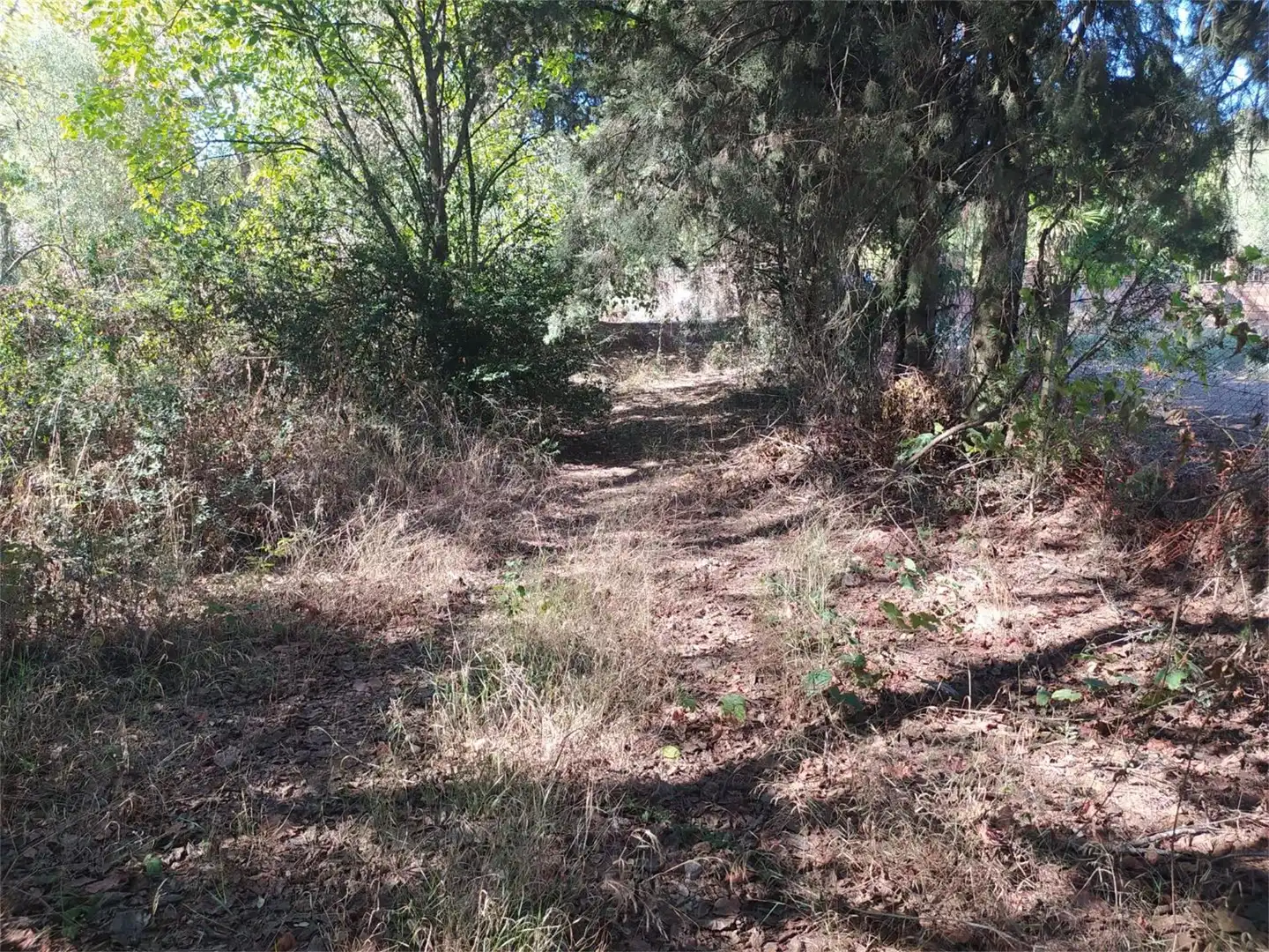Urbanizable en venta en Carretera de Trassierra, 2, Tablero Bajo - Arruzafilla Urbanizable en venta en Córdoba